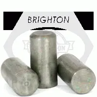 Stainless 18 8 Dowel Pins